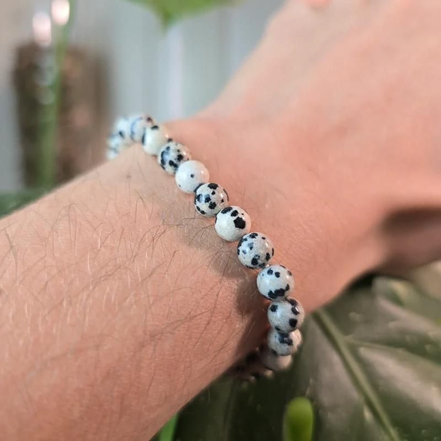 Jaspe Dalmatien (ou Dalmatite) - Bracelet avec perles de 6 mm