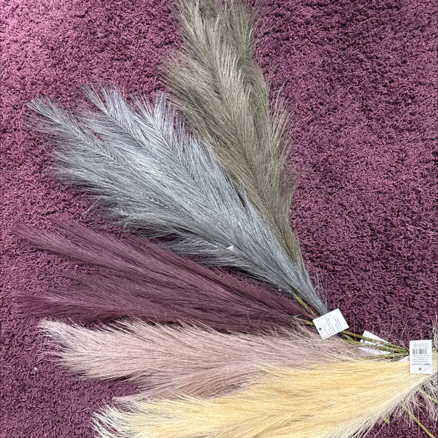 Pampasgras, 5 verschiedene Farben , Stengel, Länge 70cm 