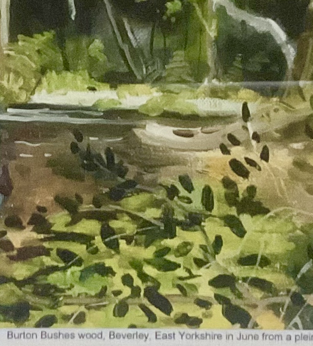 Burton Bushes woodland, Beverley. Framed A3 print from my Burton Bushes exhibition.