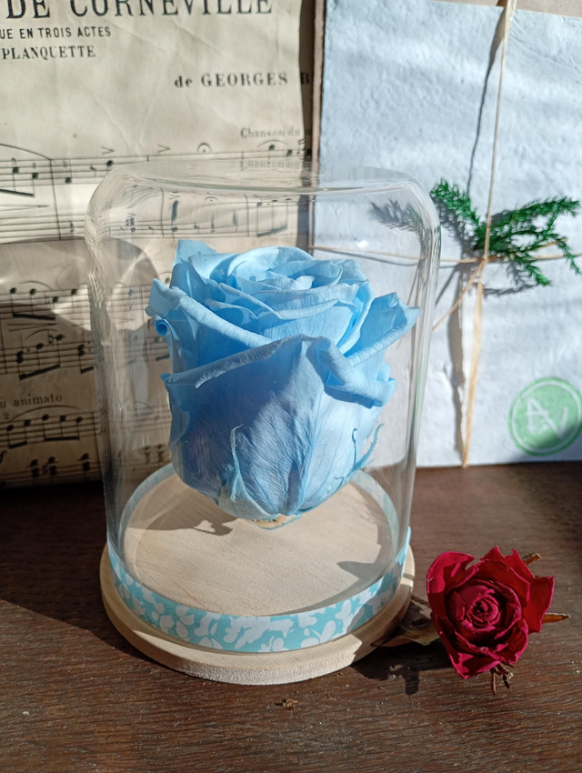 S05 unique rose bleu