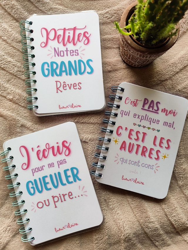 Carnet Explicit - C'est pas moi...