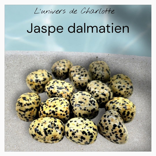 Pierre roulée "Jaspe dalmatien"