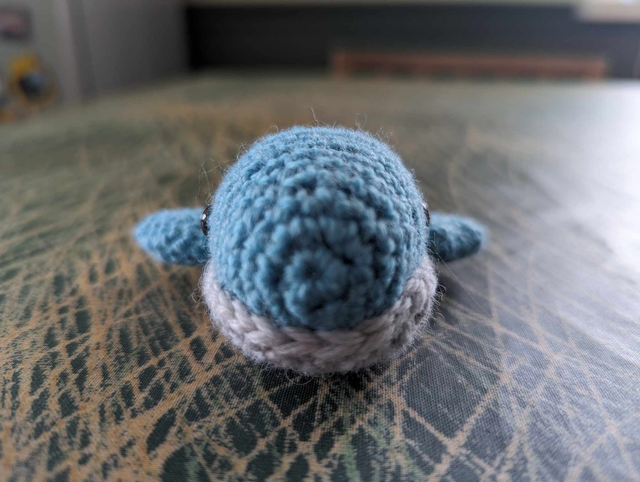 Splash the baby whale