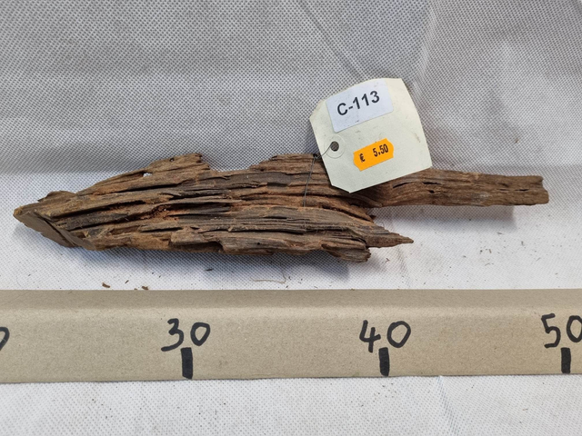 Racine Mangrove C-113