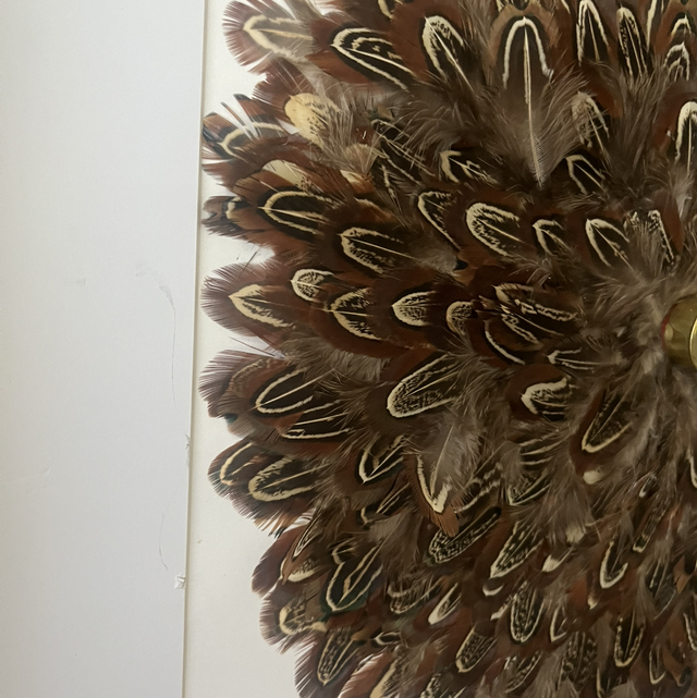 Cadre Jujuhat plumes de faisan soldé