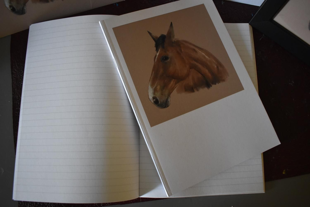 A5 Lined Notebook – Heart Horse or Cats 101 Cover