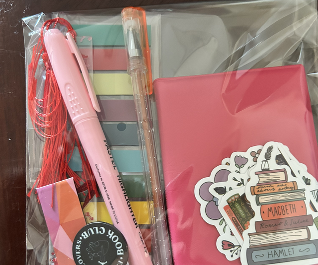 Small book lovers gift bag