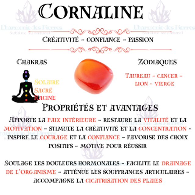 Orgonite en pendentif " Fleur de vie " Cornaline