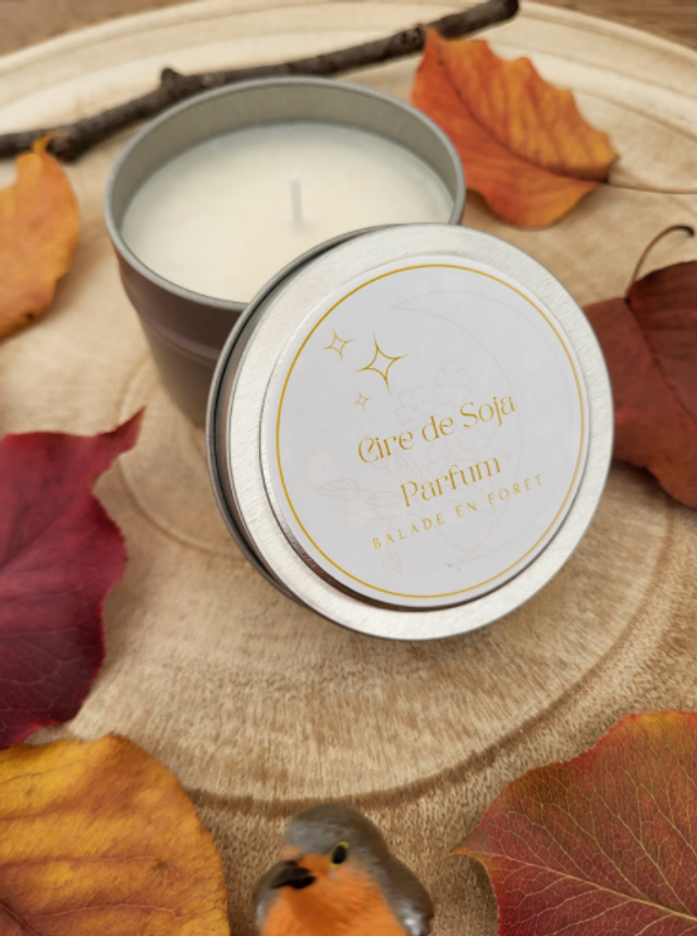 Bougie - Balade en forêt