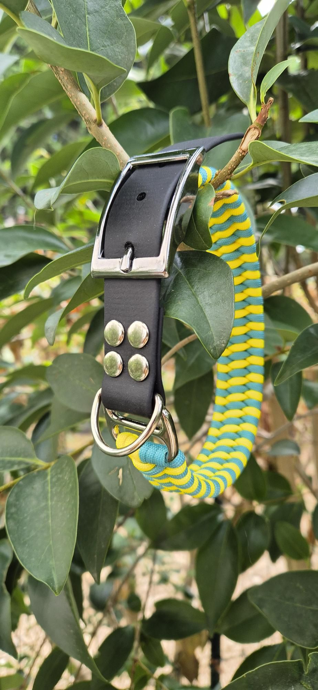 Collier biothane - Taille M