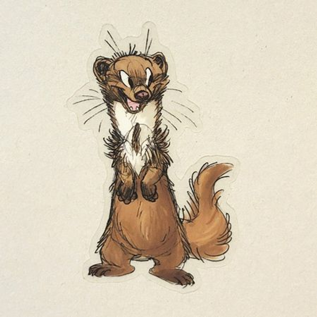 Beech marten transparent sticker