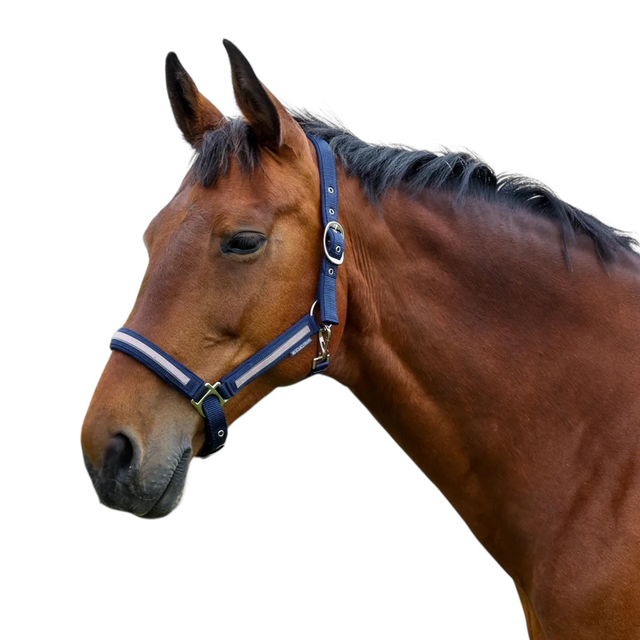 HY Mystic Head Collar NAVY/ROSE