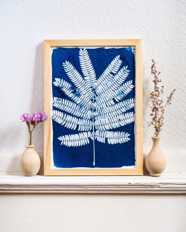 Arbre à Soie Tacheté