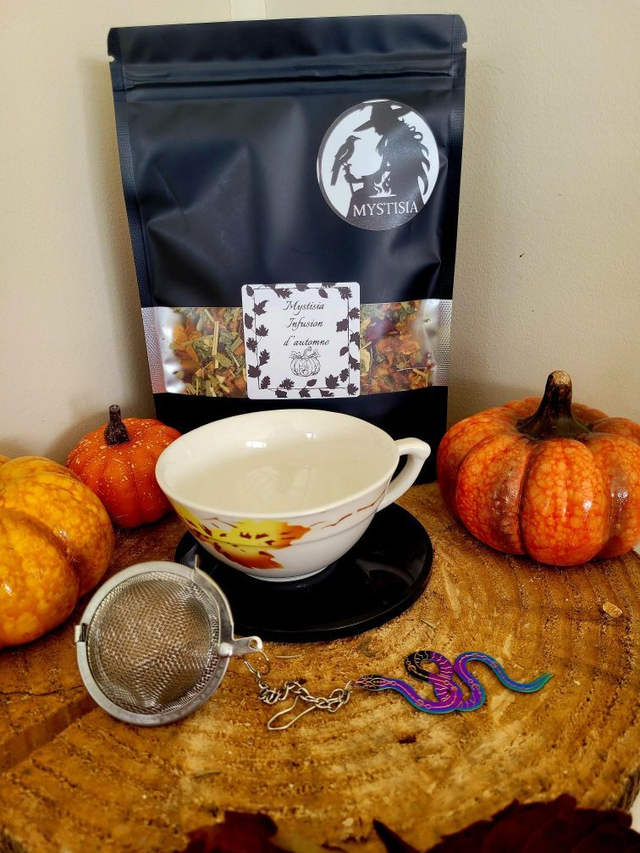 Lot infusion, sa tasse, sa boule à thé avec breloque serpent