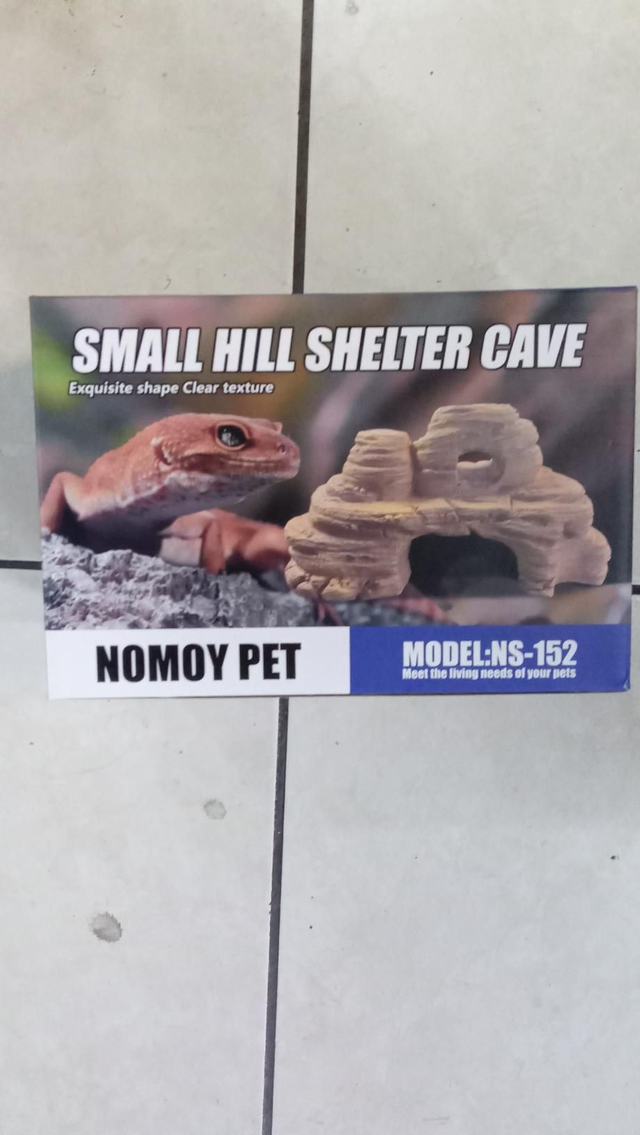 Caverna reptiles pequeña 