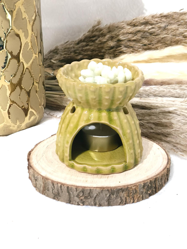 Brûle parfum grand cactus 