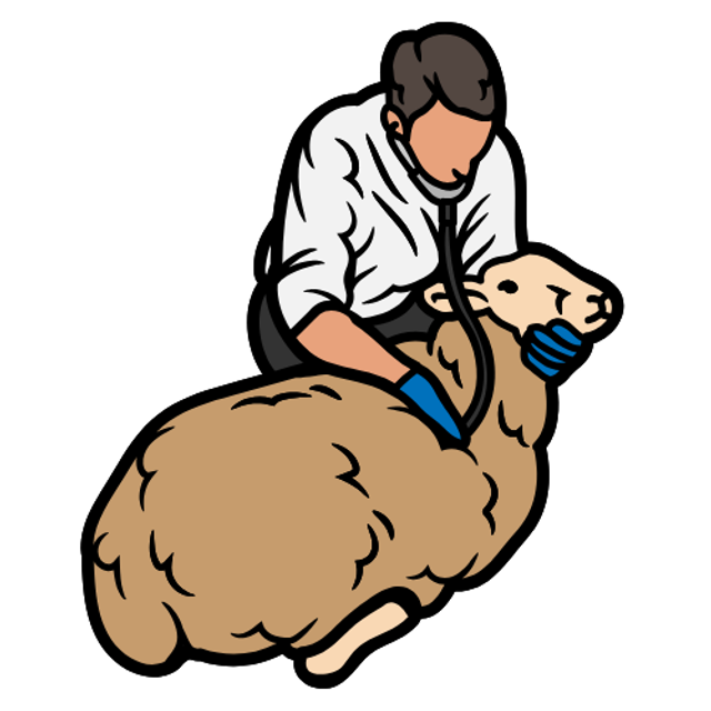 Dierenarts