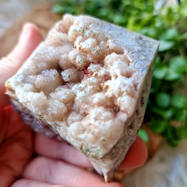 Mexican Crazy Lace Energy Point 228g