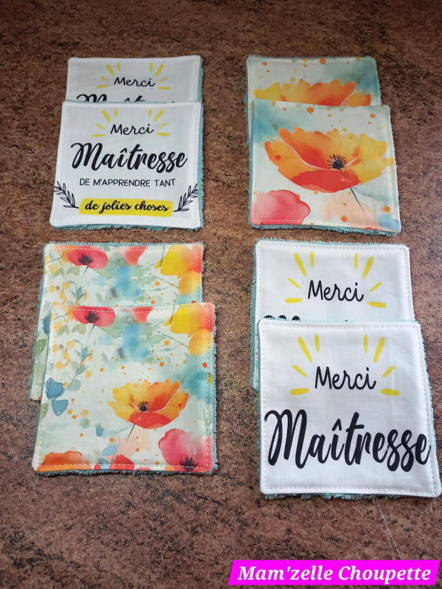 Lot de 8 lingettes Maîtresse