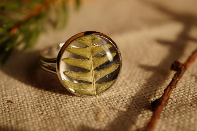Bague - Fougère