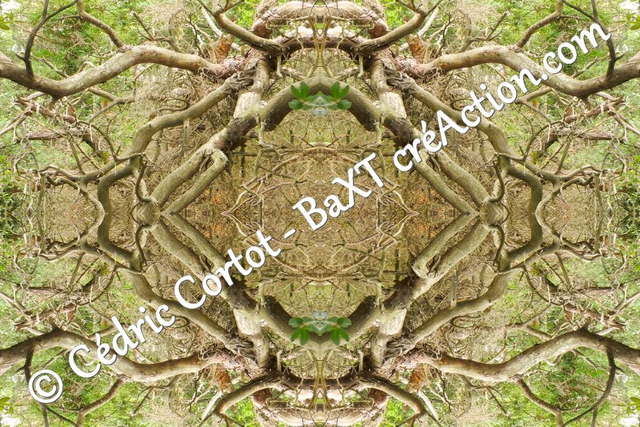 Impression sur alu dibond - Entre réel et irréel (ref 1408 R)