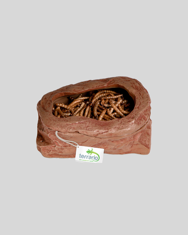 Terrario SplitRock Smart Bowl – miska pro krmení živým krmivem 11x9x4 cm