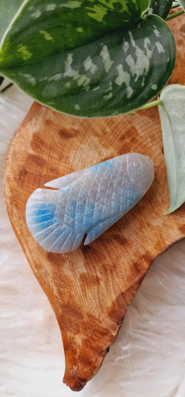 Trolleite Fish Carving 