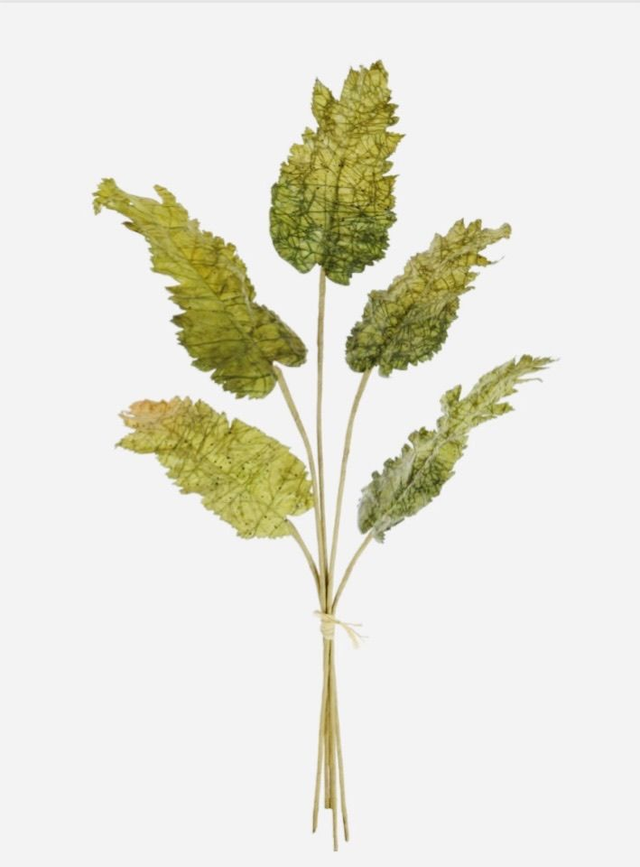 Dried Touch Fall Leaf Bunch