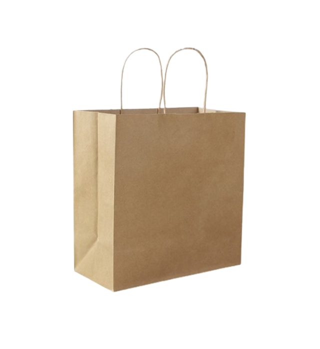 Reliable Brown Paper Bag #3 | BTC015