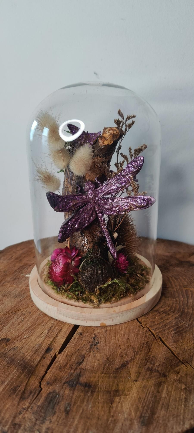 Fantasy sous cloche: la libellule envoutante