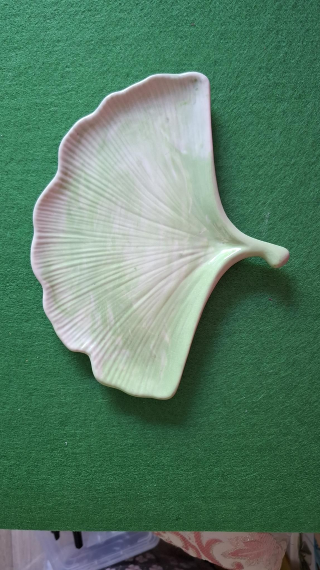 Feuille de Ginkgo 