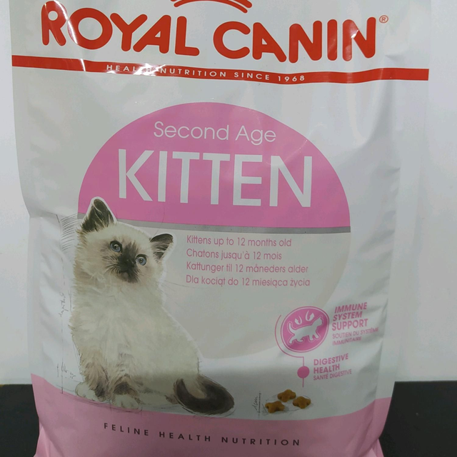 kitten 2kg