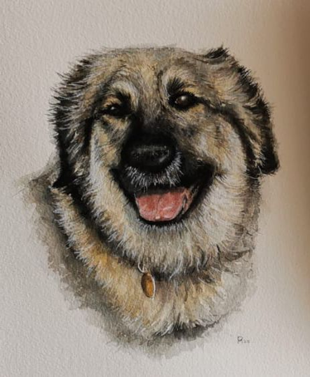 Watercolour Pet Portraits