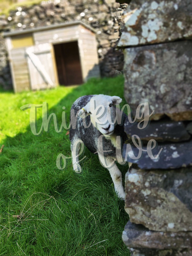 Herdy Experience - Handcrafted Reclaimed Wood