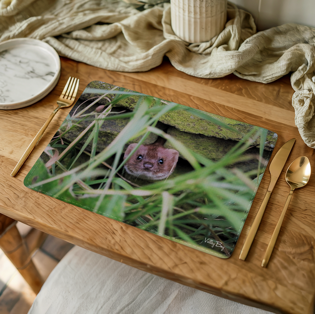 “Pop Goes the Weasel” Placemat