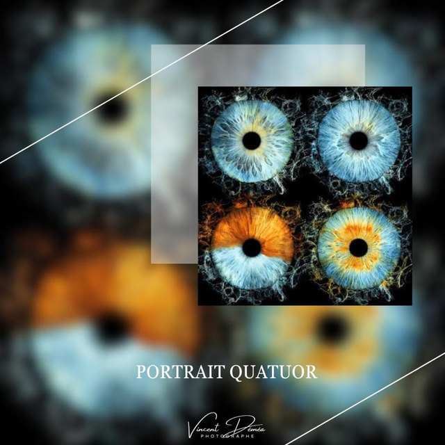 Séance Portrait Iris Quatuor Format 30 *45cm 