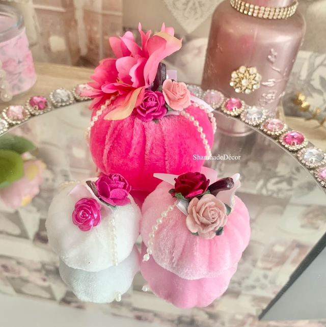 Pink Pumpkin Patch Set