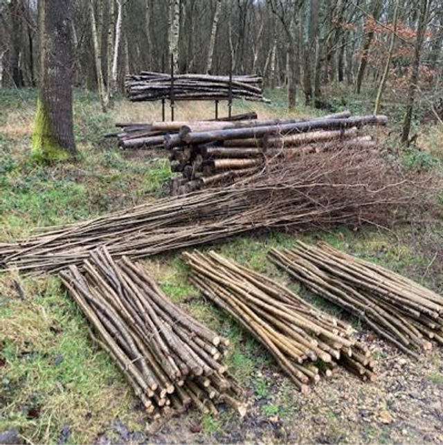 Hazel Binders 20 Bundle Four Weeks From Order