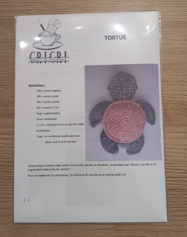 Tutoriel Fanny la tortue