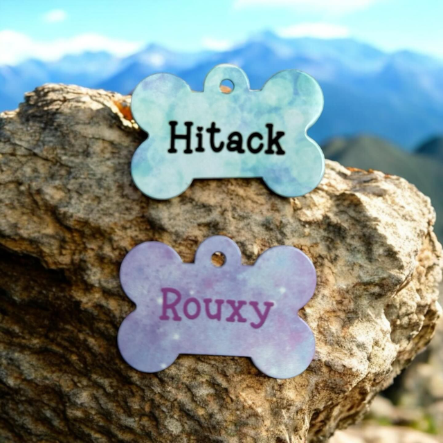 Médaille Chien -Chat