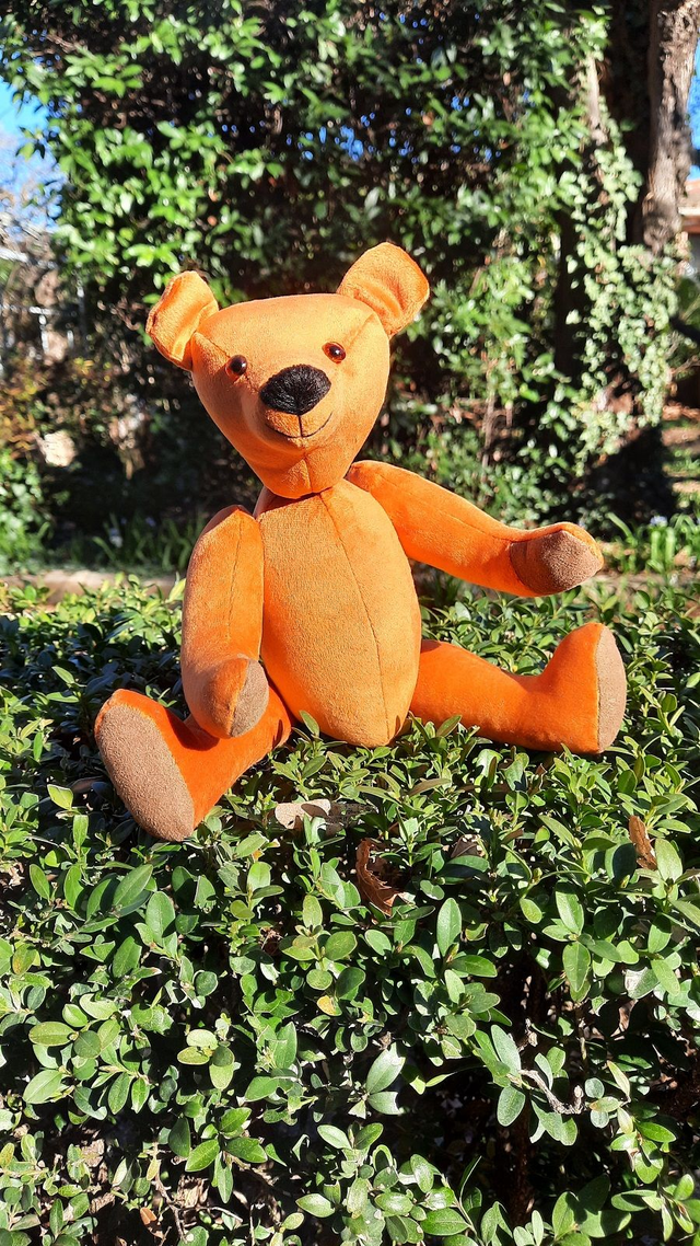 Ours de collection velours