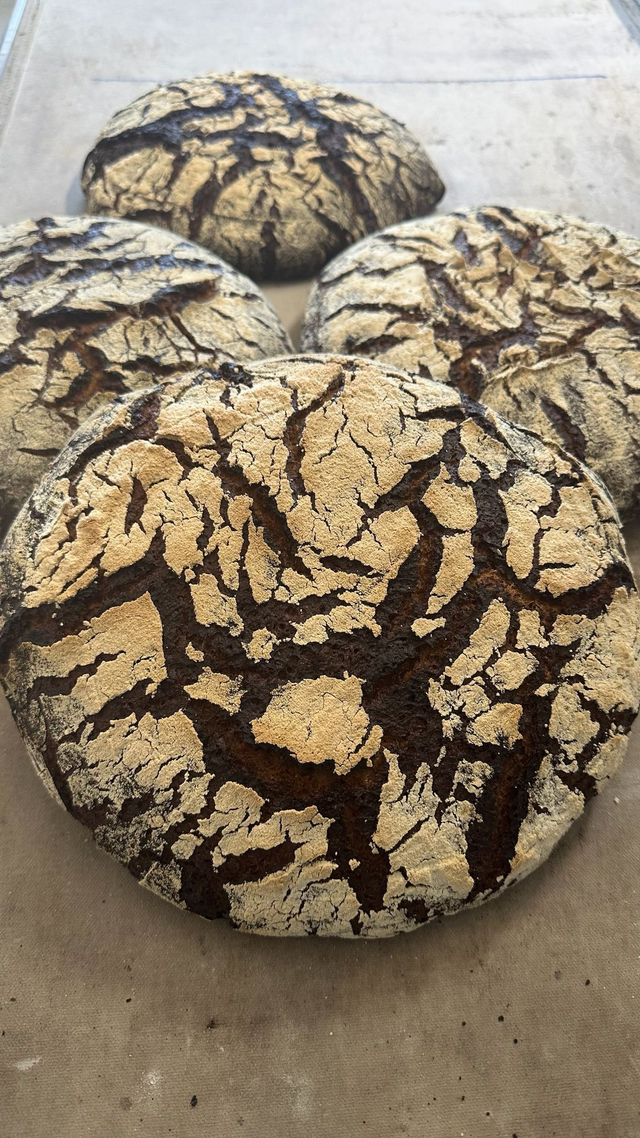 Tourte de seigle 600g