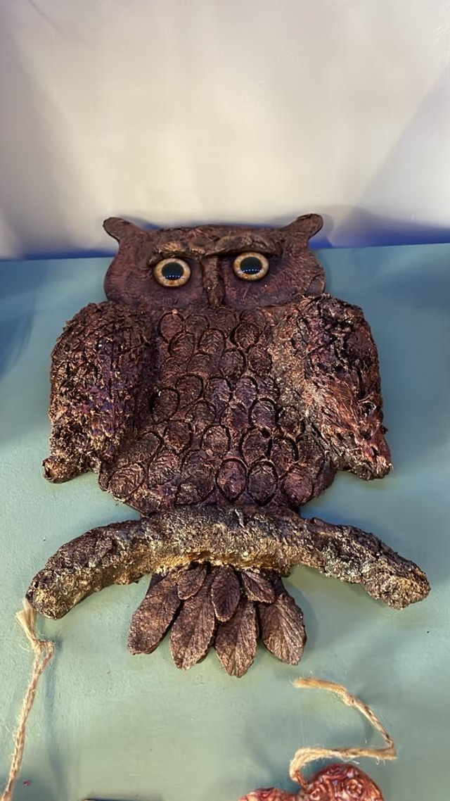 Owl 09th May 25