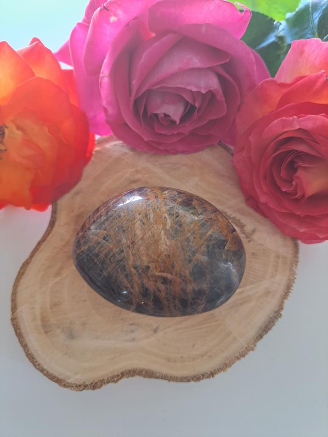 Galet pierre de lune noire