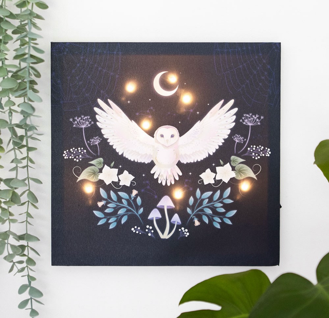 Night owl light up canvas 