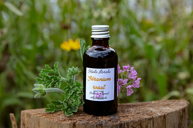 Huile de Géranium rosat (50ml)