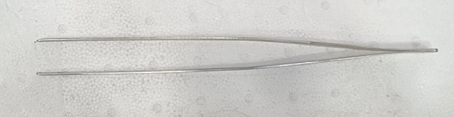 Pinza per prendere insetti 27 cm acciaio