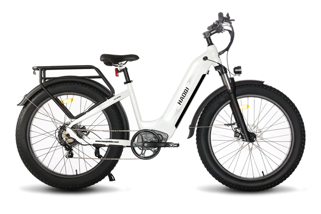 HAOQI White Eagle 26 Zoll Elektro Fatbike