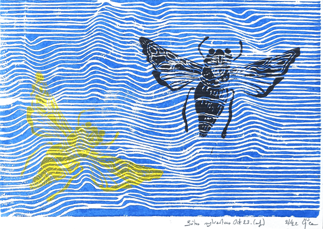 Bêtes sylvestres A5 21/22