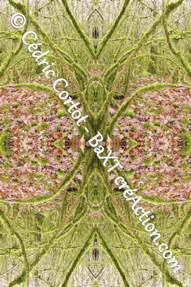 Impression sur alu dibond - Entre réel et irréel (ref 9156 R1)